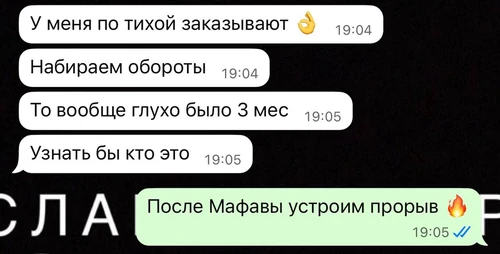 Скрин переписки с Алиной